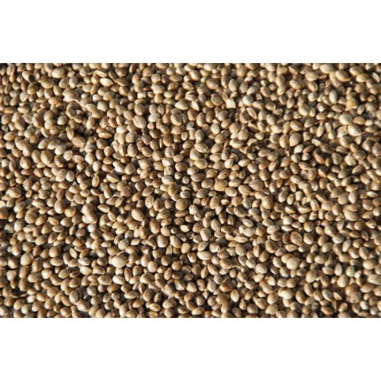 prix chenevis biologique 20 kg en déstockage, grossiste acheter chenevis biologique 20 kg en vente en ligne
