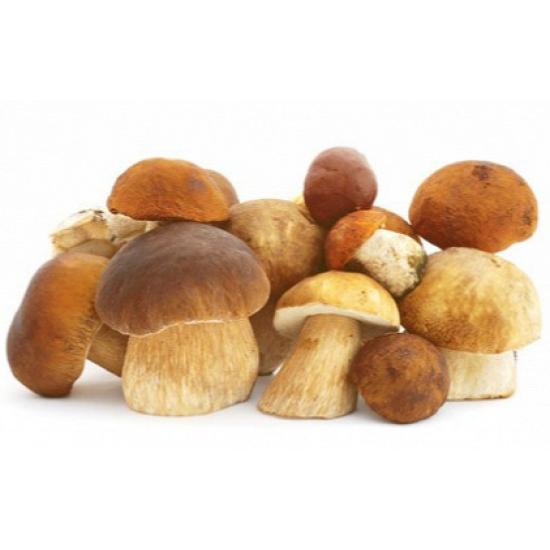 acheter Cèpes Frais - 1 Kilo en vente en ligne