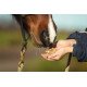 acheter aliment pour chevaux en vrac prix en vente en ligne