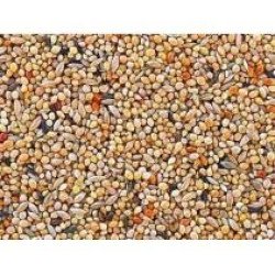 graines perruches 25 kg