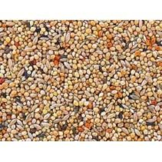 acheter graines perruches 25 kg top qualite en vente en ligne