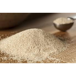 Levure bière 25kg Lesaffre