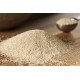 acheter achat levure bière  25kg en vente en ligne