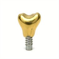 implants d'or chien