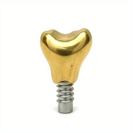 acheter implants d or chien prix en vente en ligne