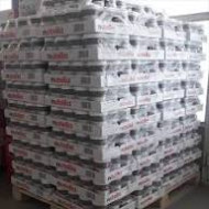 Palette de nutella 1kg